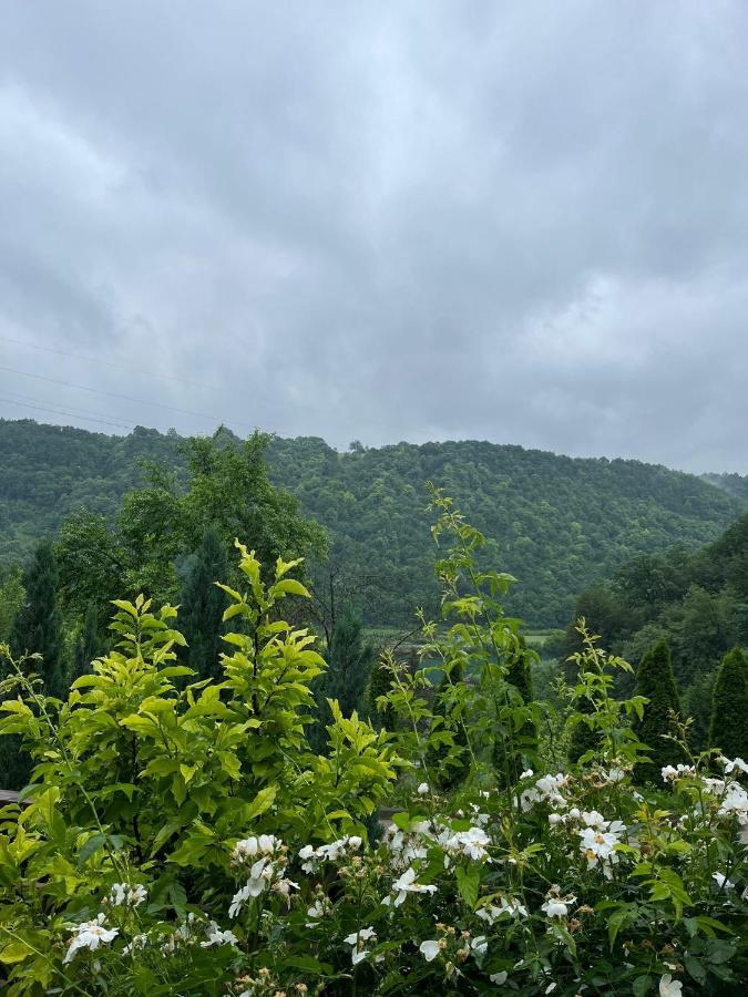 Villa Nature Bihac Ngoại thất bức ảnh